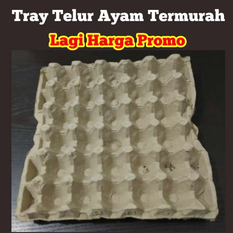 Egg Tray Karton - Tempat Telur Ayam Bekas MURAH