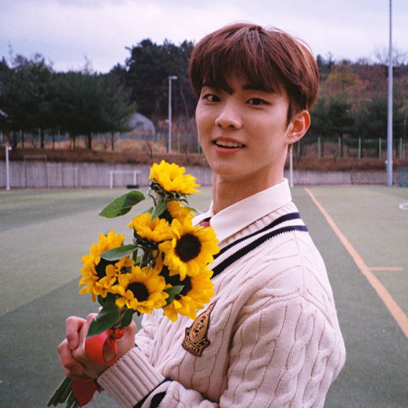 PELUNASAN JENO ARRIVAL