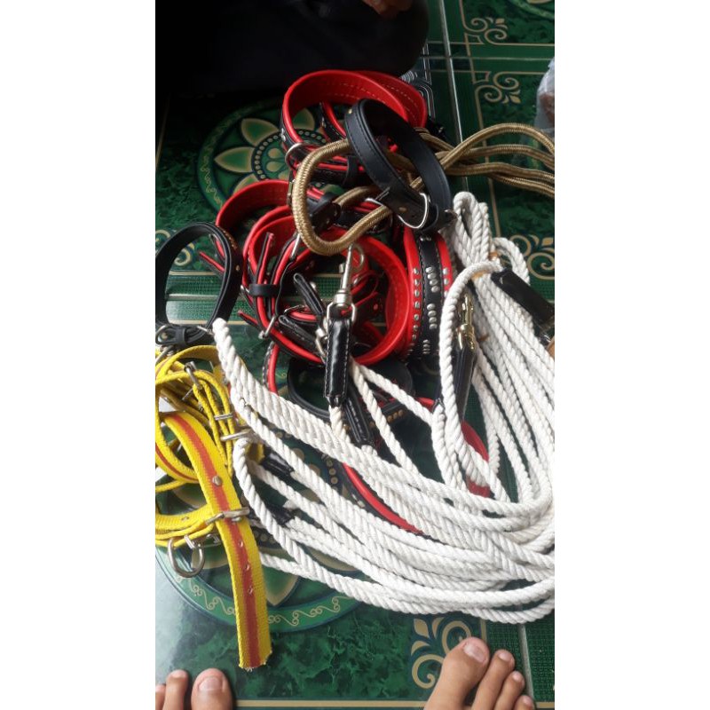 Tali Tambang Anjing / Kalung Anjing Kulit | Kalung Anjing Pemburu Stainless