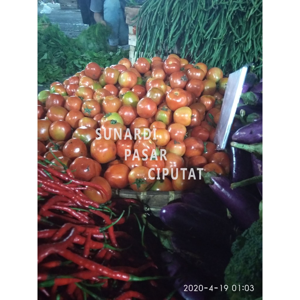 Tomat merah A 500 gram