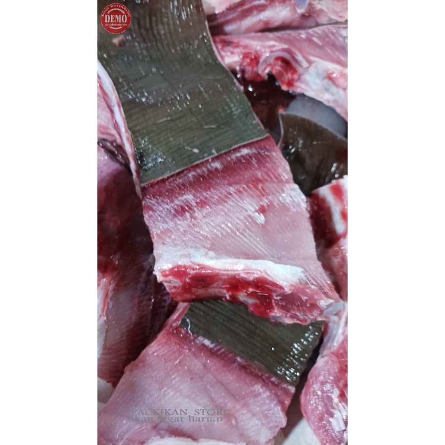 

Ikan Pari Segar Fillet Daging Segar Ikan Pari Fillet