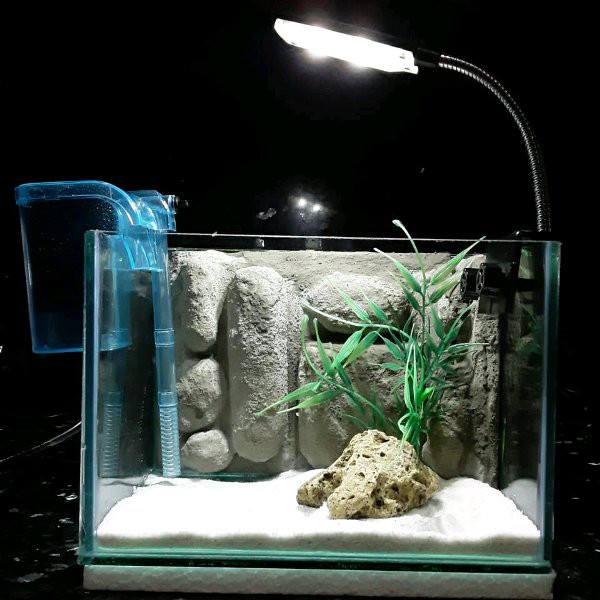aquarium mini 3D