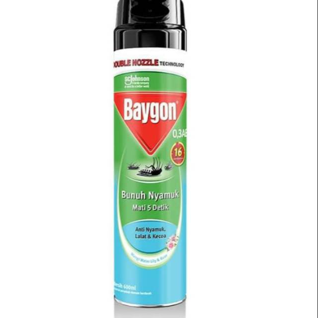 Baygon & Hit Aerosol 600ml