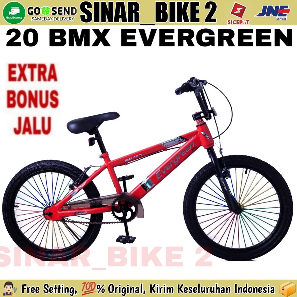 Sepeda Anak Laki BMX 20 Inch Evergreen B2 Ban 2.50