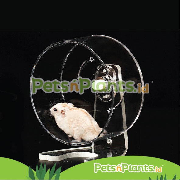 Mainan Roda Hamster Syrian Landak Mini Akrilik Besar - Silent Running Wheel Import - 22 CM