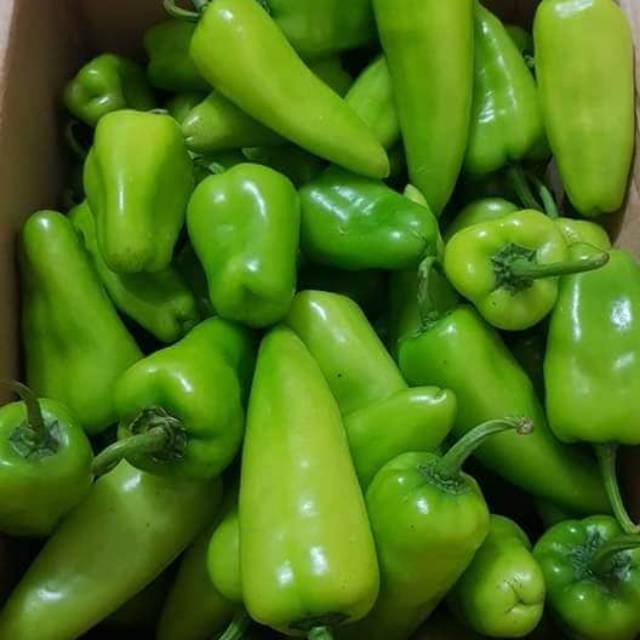 

Cabe kalimantan / cabe hijau kalimantan