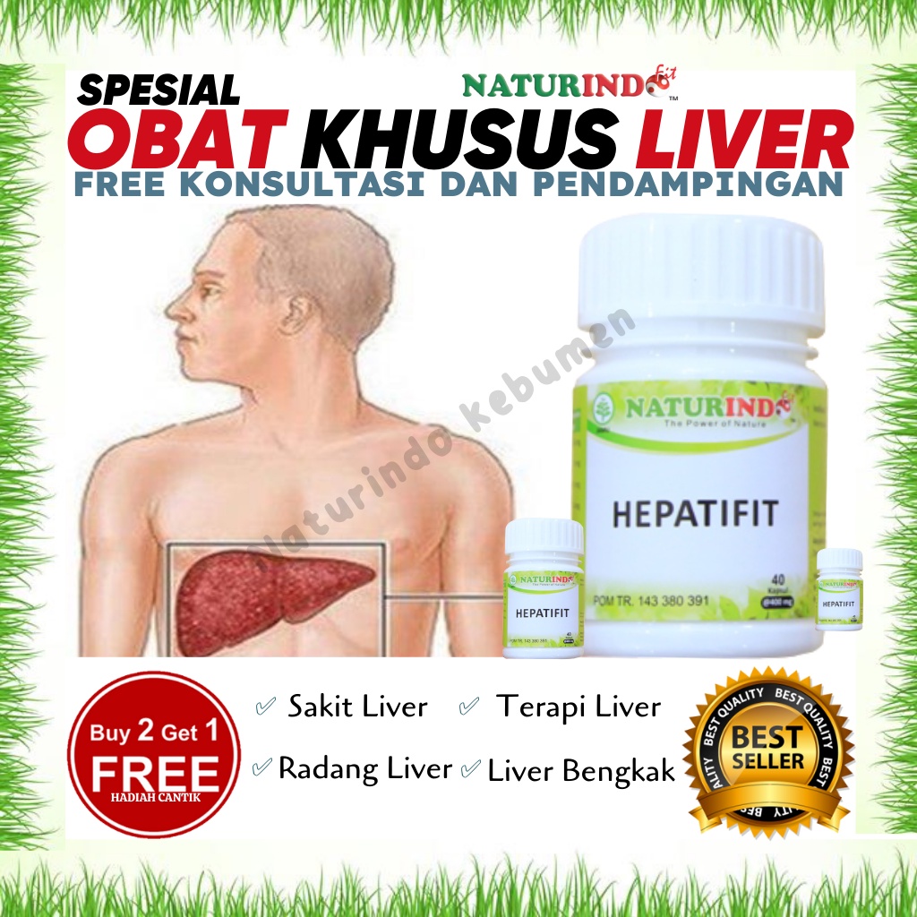 Jual Obat Herbal Liver Ulu Hati Bengkak Hepatitis A B C Kuning Terapi