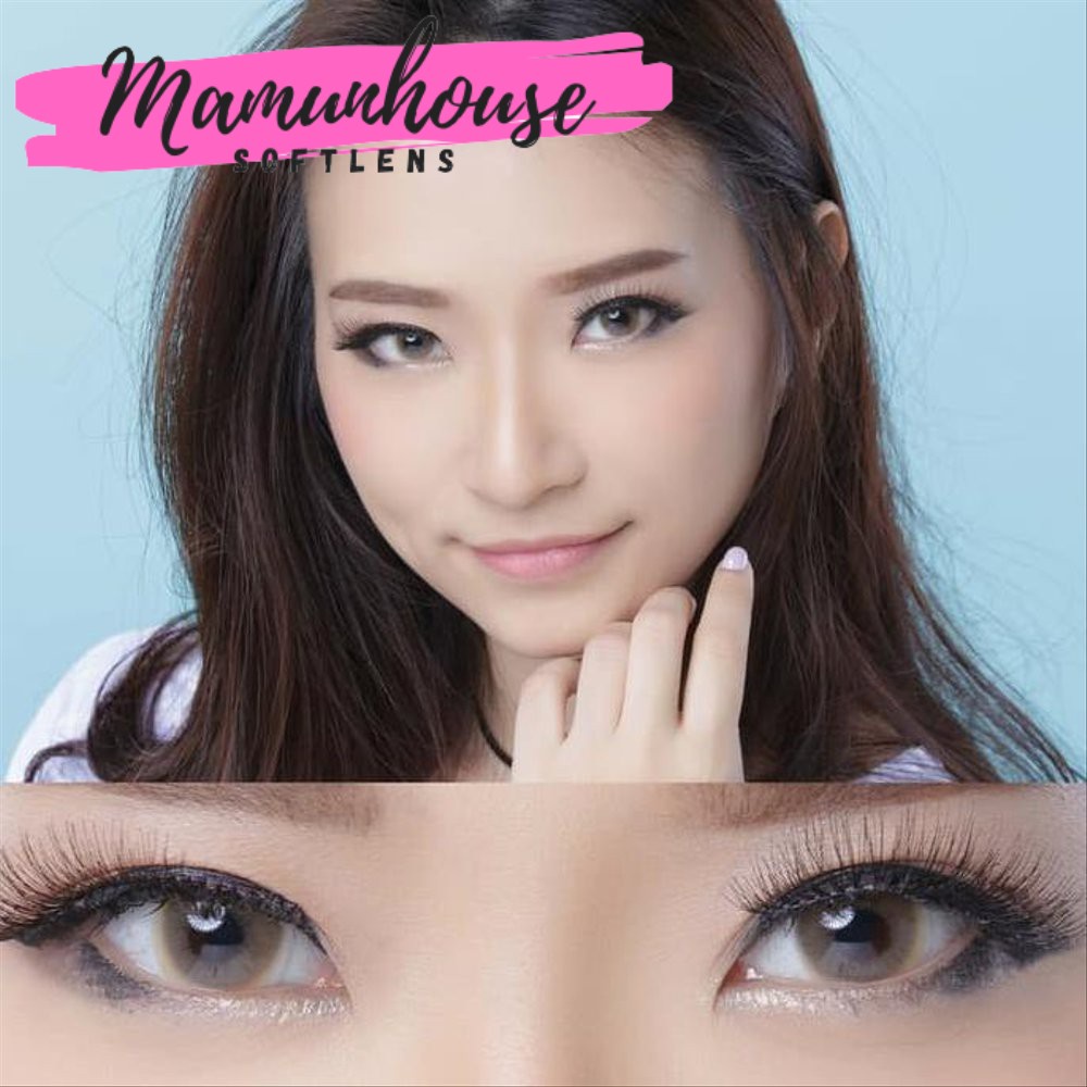 ORIGINALSoftlens Softlens Sweety Solotica Hydrocor Gray Grey Brown Soft Lens Soflens Soflen Soflent