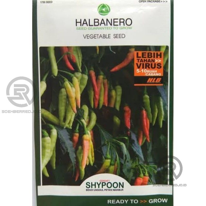Benih Bibit Cabe Shypoon - Repack 100 Biji