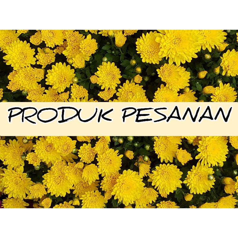PERHIASAN BUNGA SET RADHA || Puspakapoorkhan