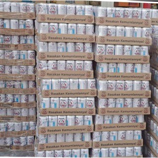1 KARTON BEAR BRAND 189 GR ISI 30 PCS