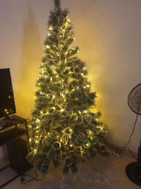 Pohon Natal Premium Murah 2 Meter 7 Feet Pine Christmas Tree Jarum Polos Salju Gold Emas