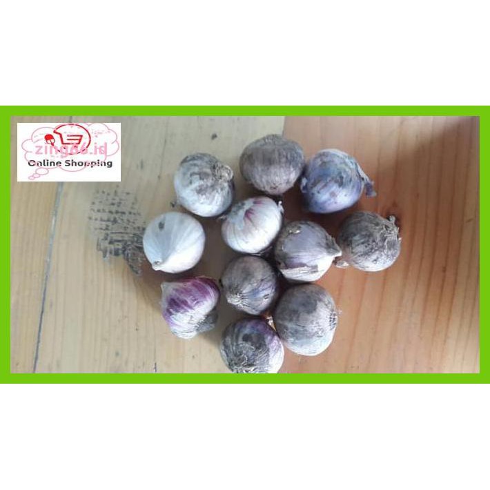 

4R6Ey46- Bawang Putih Tunggal Super R7Eye59-