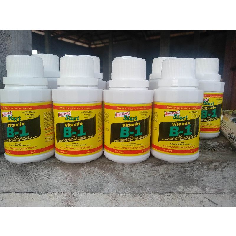 Vitamin B1 untuk Tanaman
