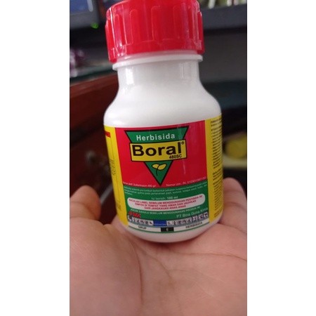 Herbisida BORAL 480SC