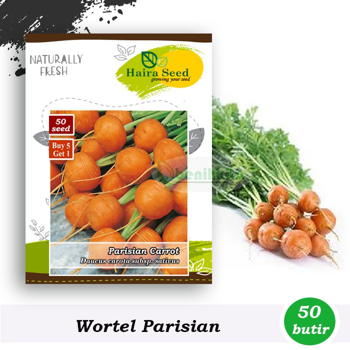 Benih-Bibit Wortel Mini Bulat Parisian (Haira Seed)