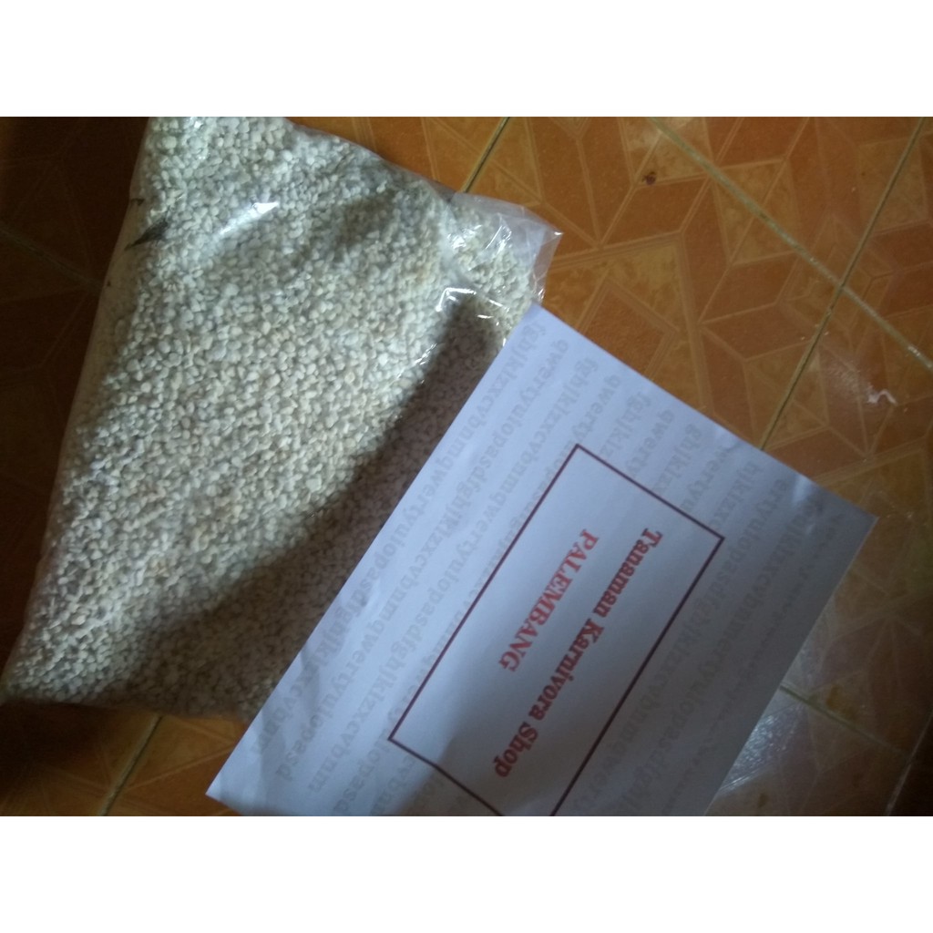 Perlite (Media Tanam)