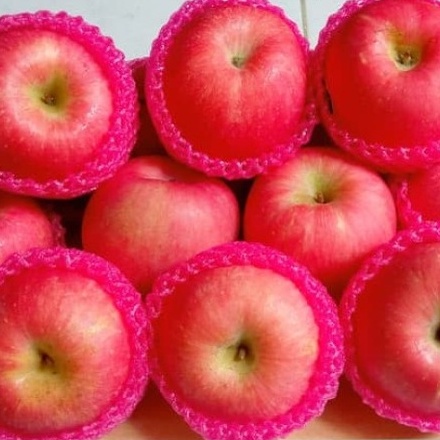 

Buah Kualitas Premium ( Apel Fuji ) Kemasan 500 gram - 1 kg