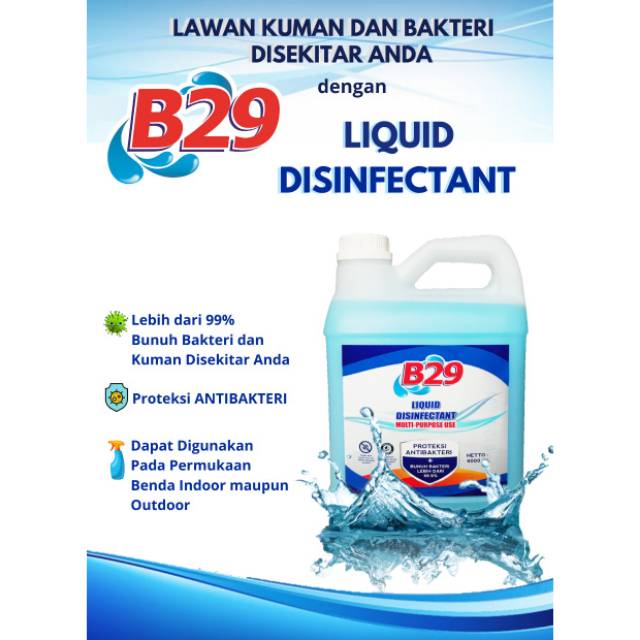 DISINFECTANT B29 4liter