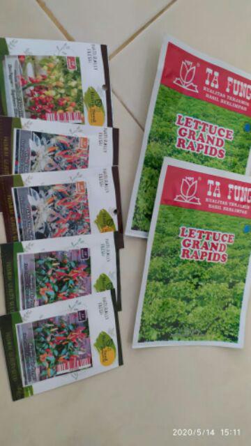 Benih-bibit Cabe Hias Uchu Cream (haira Seed)