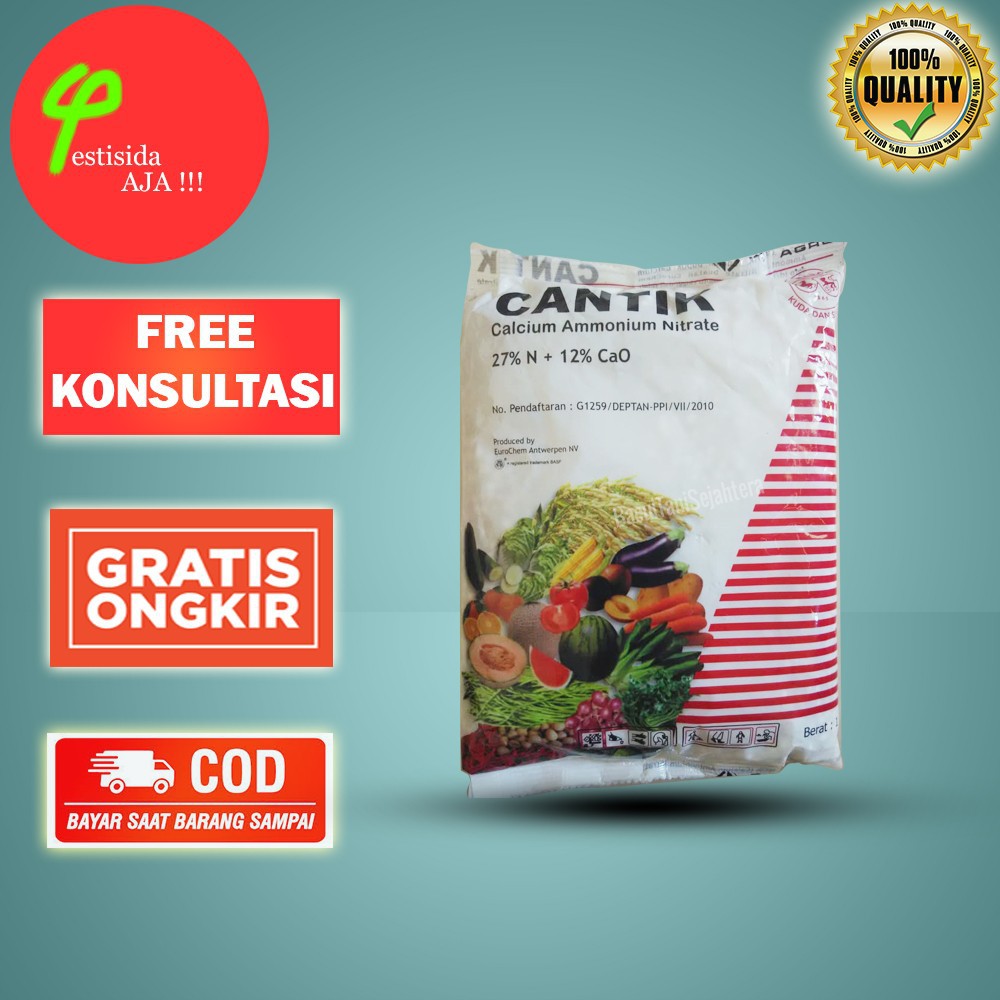 DAP CANTIK PUPUK PERTUMBUHAN PEMBUNGAAN DA PEMBUAHAN