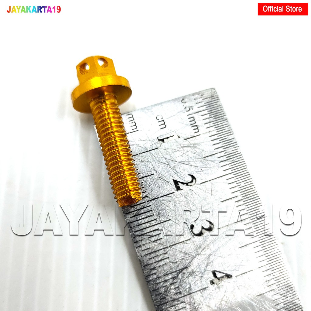 BAUT DRAT 10 PANJANG 2CM