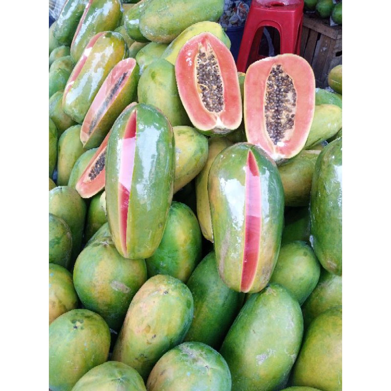 

Pepaya California
