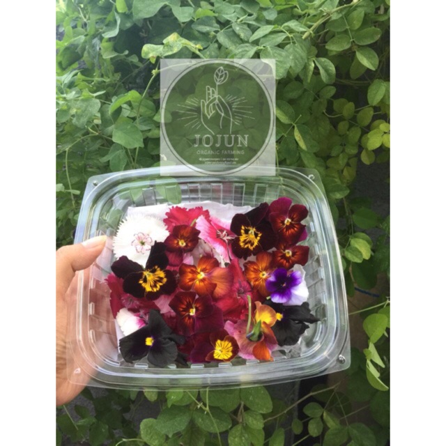 

PROMO MURAHHHH EDIBLE FLOWER VIOLA MIX DIANTHUS