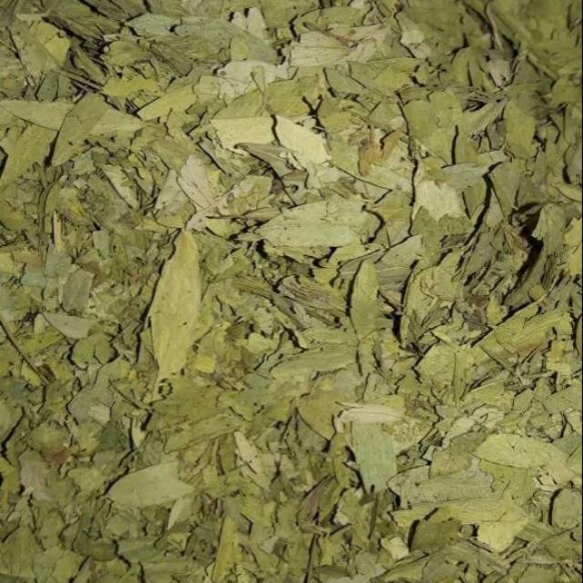 

Teh jati cina/daun jati cina 1000 gram 1 kilo DAUN BAGUS