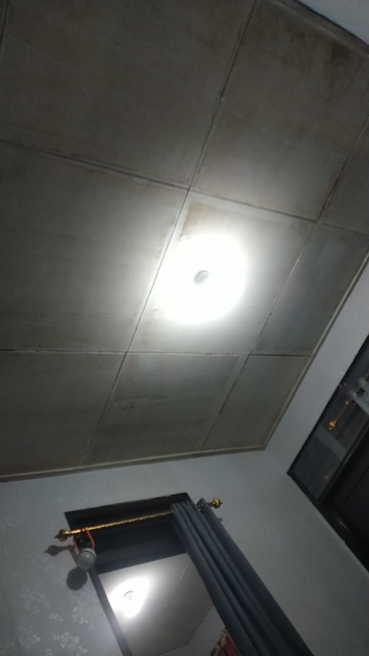 Softlen Living Color 1tone By Living