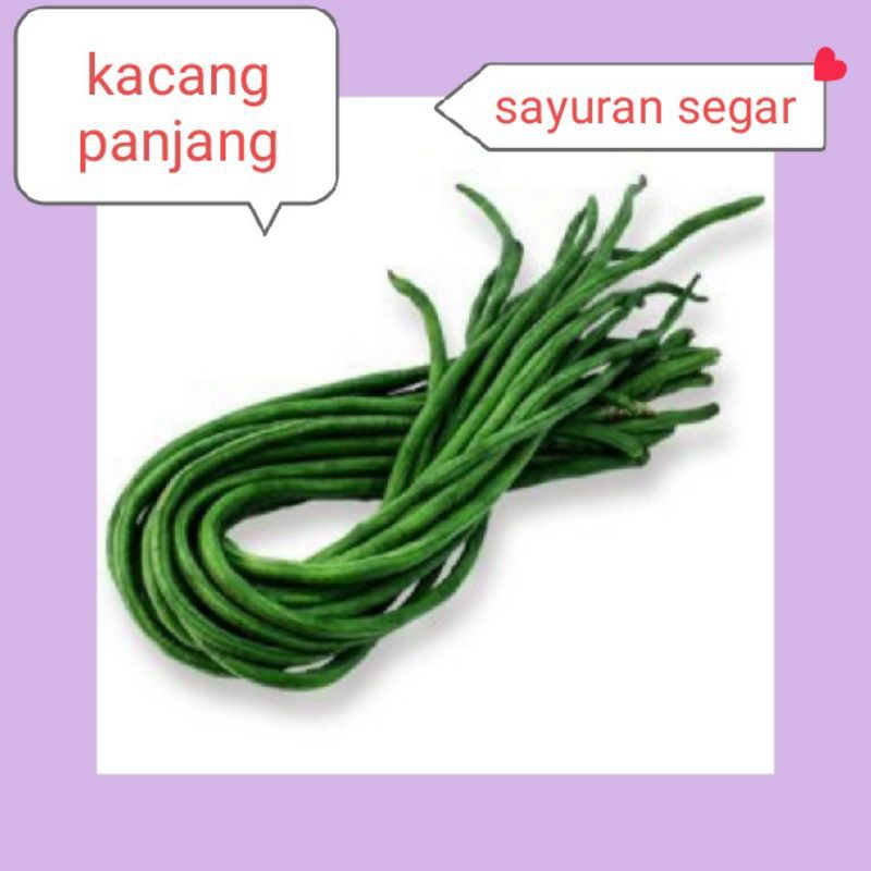 

KACANG PANJANG SEGAR