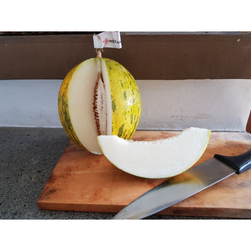 Jual Melon King Show (Kingshow) Indonesia