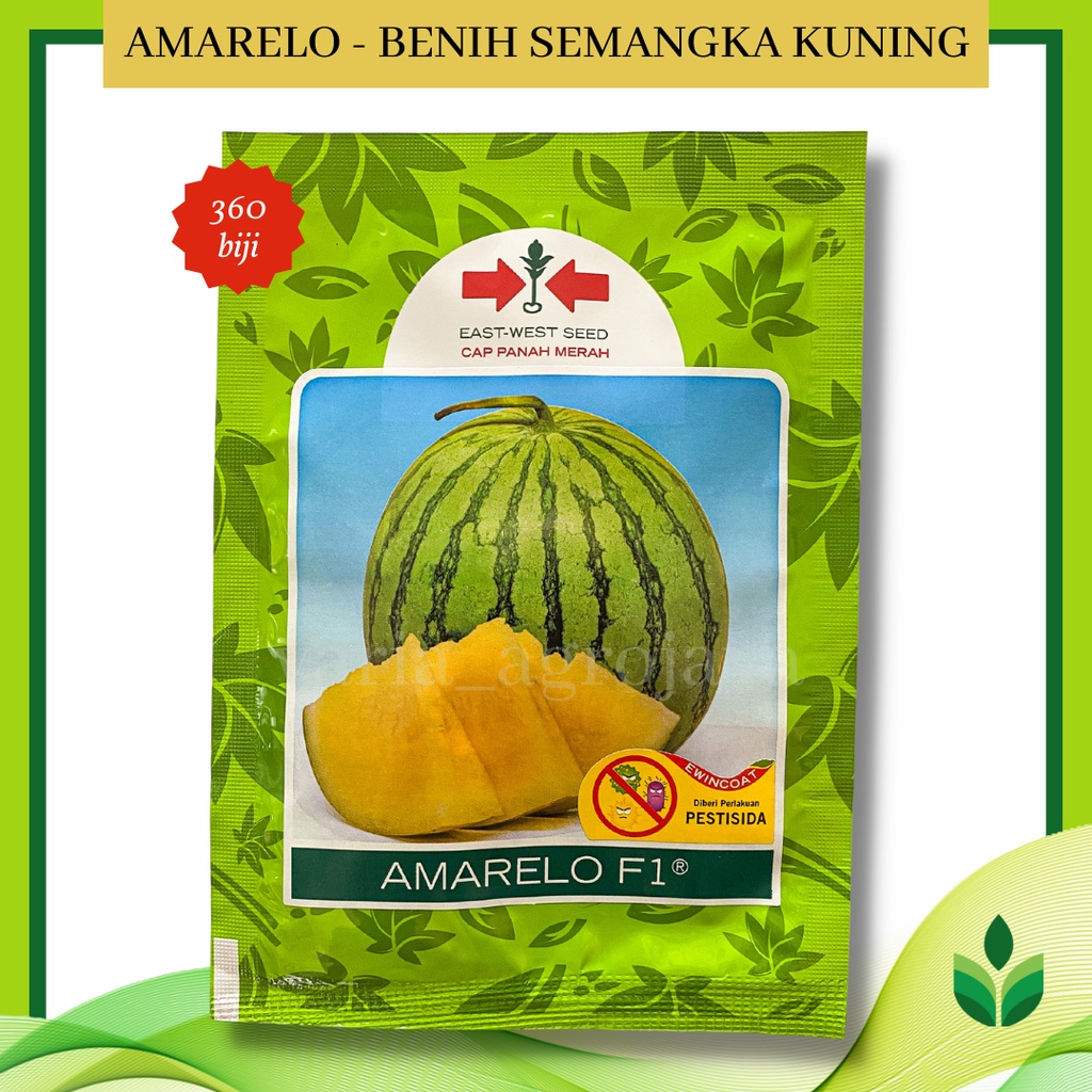 Benih Bibit Semangka Kuning Non Biji Amarelo F1 - Cap Panah Merah