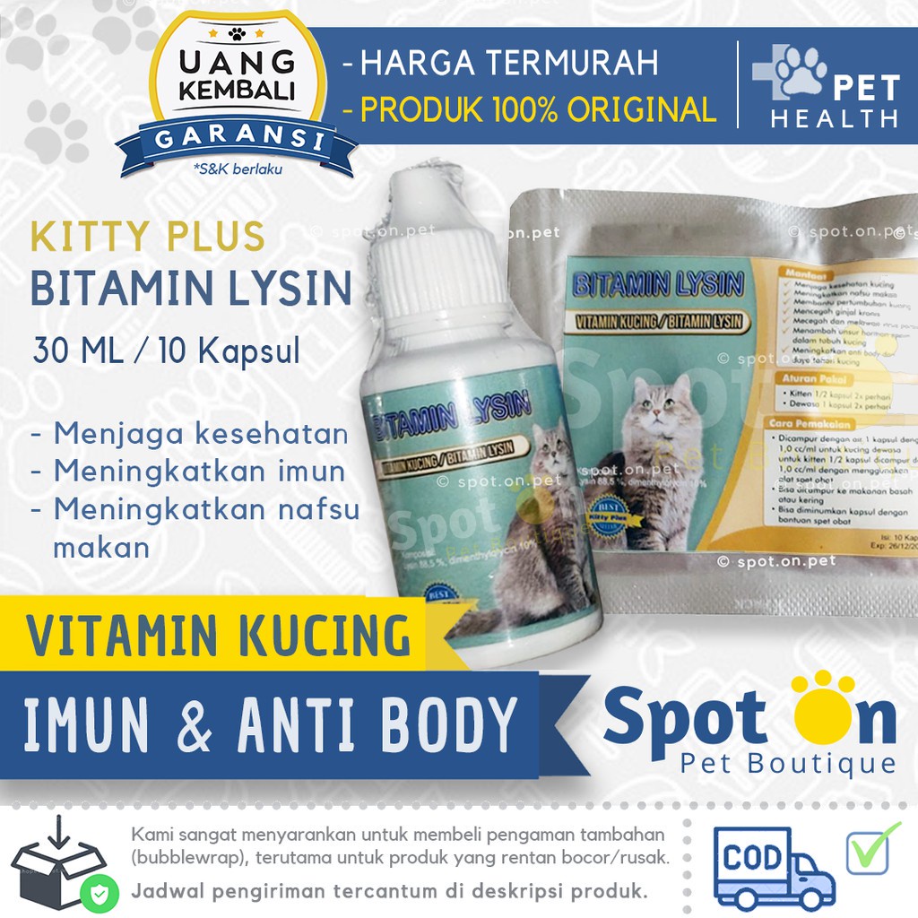 Vitamin Kucing untuk Imun, Nafsu Makan dan Anti Body Kitty Plus | Suplemen Bitamin Lysin