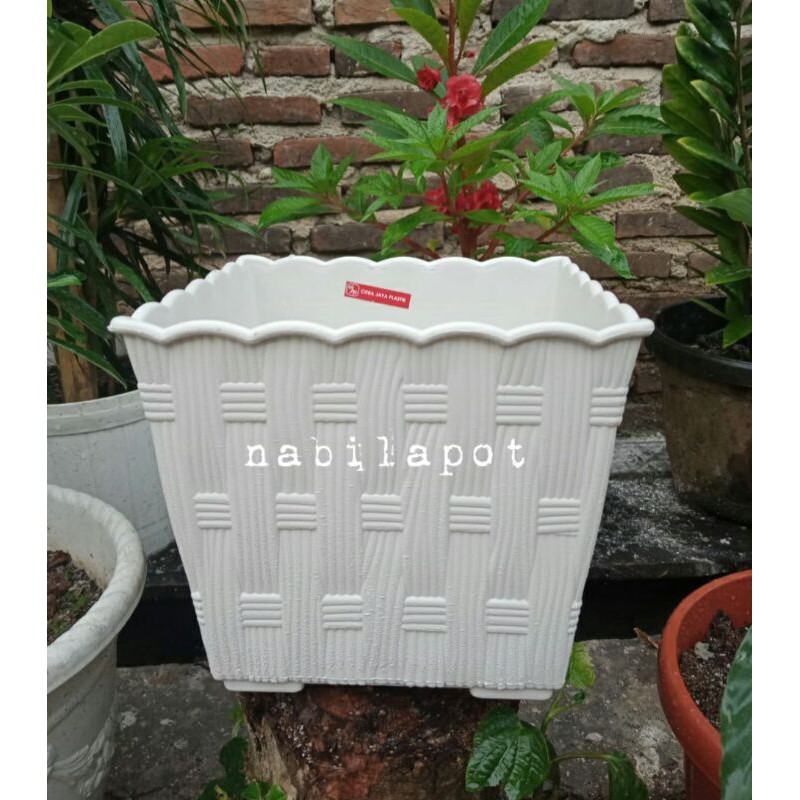 pot kotak cjp rotan 30