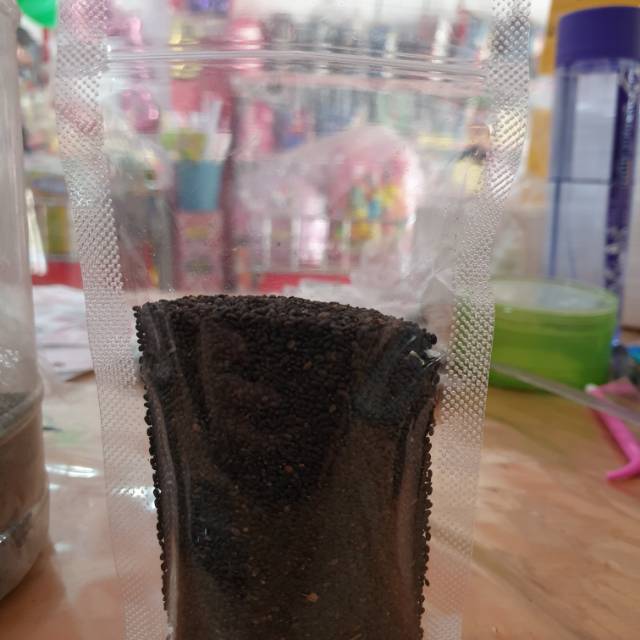 

Biji slasi 50gr-100 gr atau telur katak