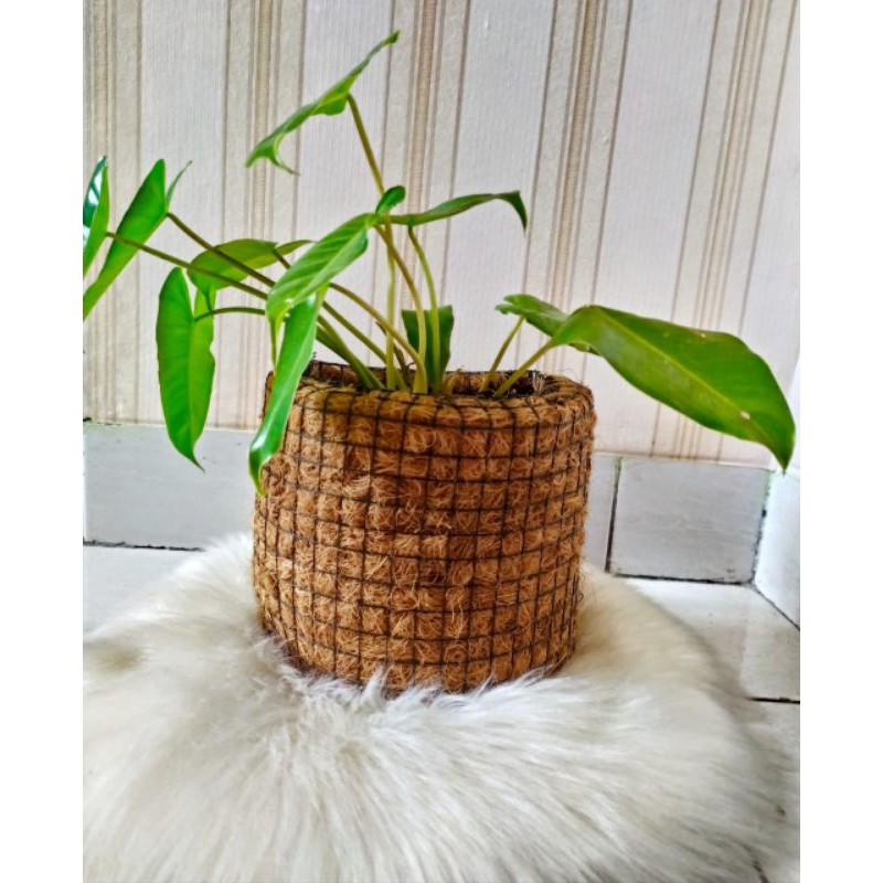 pot sabut kelapa bulat, pot anggrek sabut kelapa