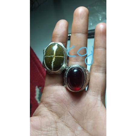 tapak jalak & merah siam bangkok ajib