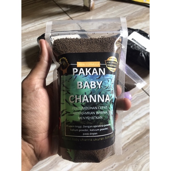 pakan ikan anak baby channa pulchra asiatica auranti maru limbata blue kecil