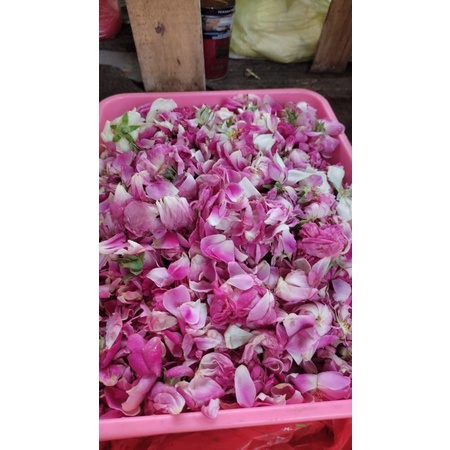 

kembang roncean,kembang sekar,kembang ari-ari