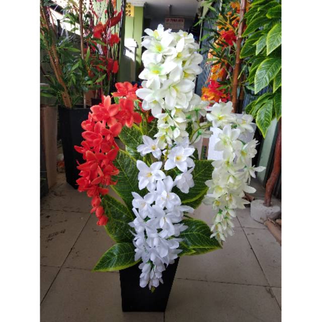 Bunga Anggrek rangkai sudut