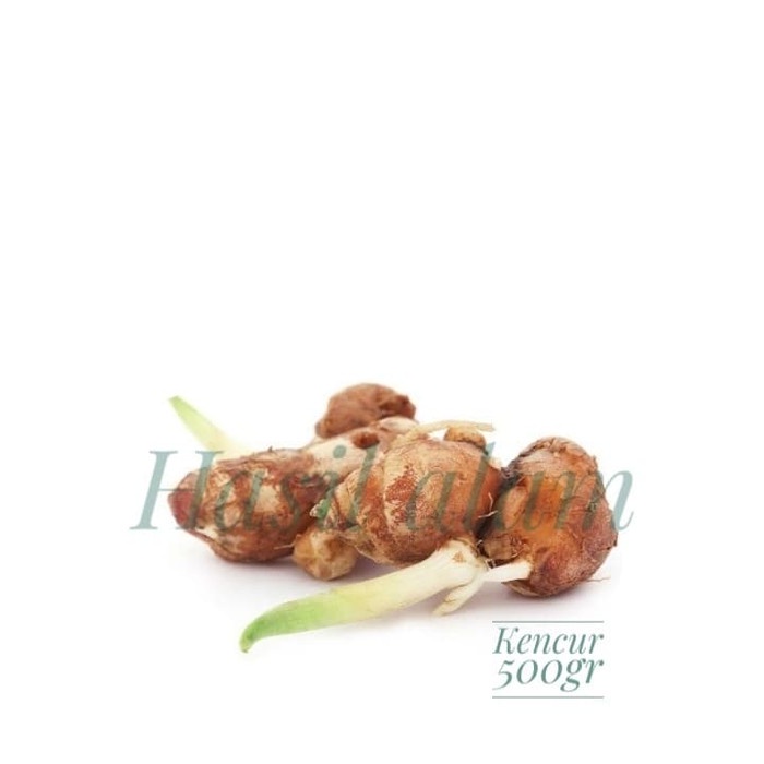 

[ PROMO ] Kencur / Kencur Segar / Kencur 500gr