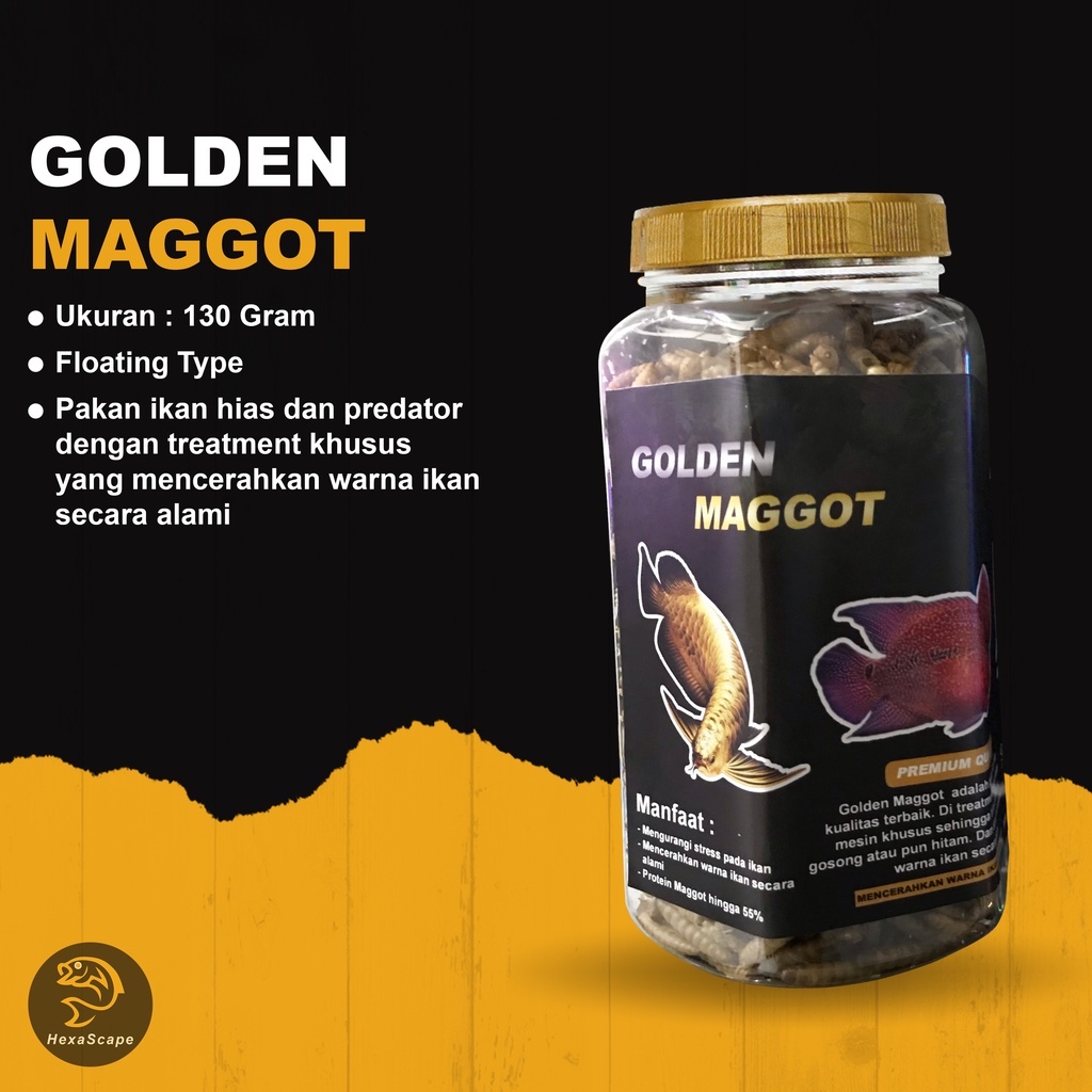 Golden Maggot Pakan Ikan Predator / Makanan Ikan Arwana Koi Louhan