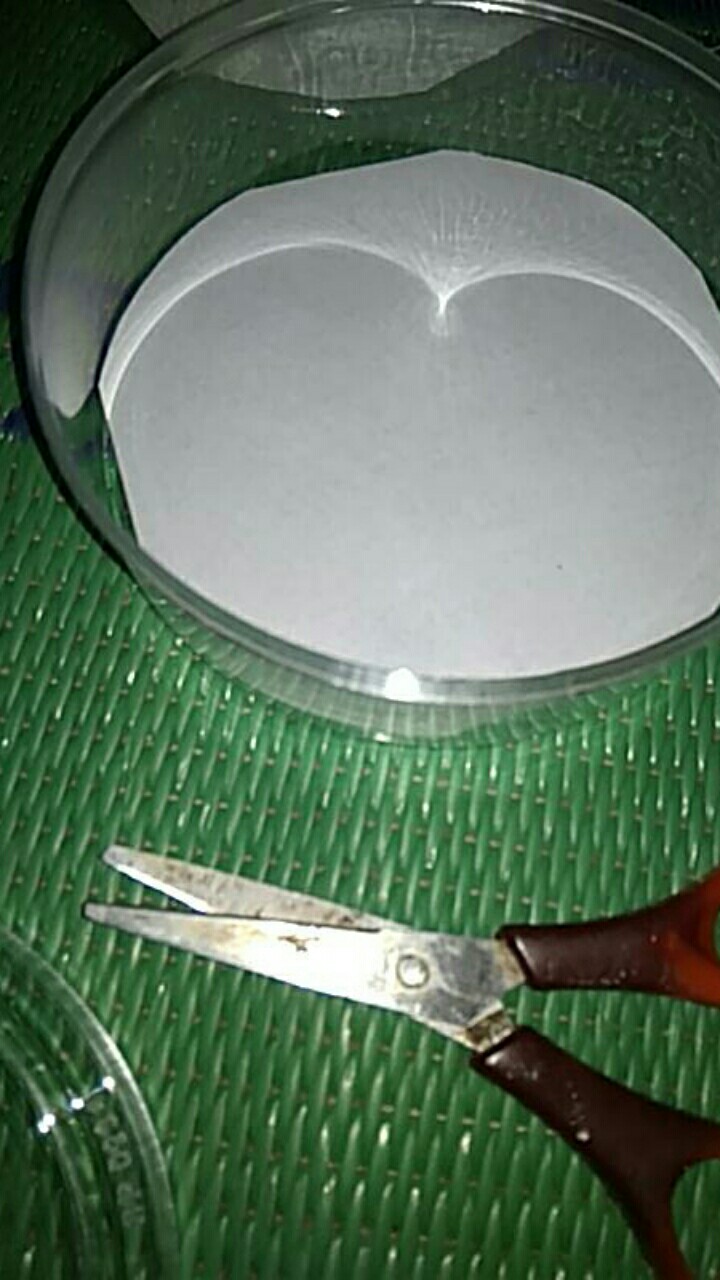 (ukuran 250gr) Toples Mika / Toples Kue Kering / Toples Bundar