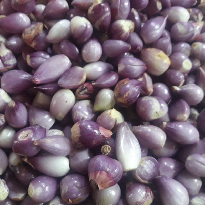 

bawang kupas kualitas ter segar 500g