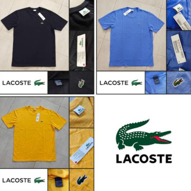 [[BISA COD]] Lacoste Tshirt  Original Export BERKUALITAS Kode 1243