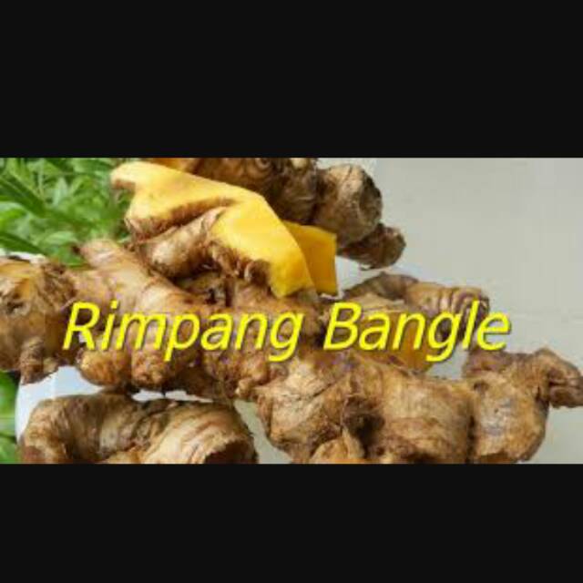 

Panglai/bangle segar /Zingiber Purpureum Roxb Yang Super nya ya.. Besar Besar Panglainya 1kg