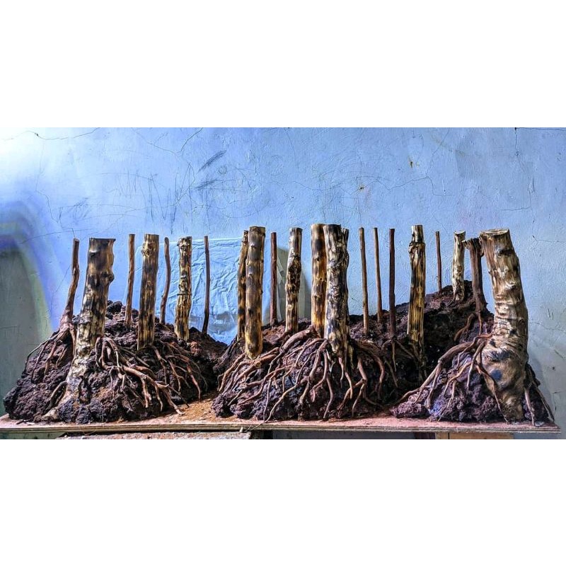 hardscape jungle aquascape uk.100.30.35.cm siap pakai sudah plus planting mossajava