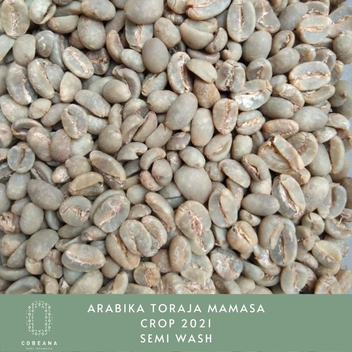 KOPI ARABIKA TORAJA MAMASA 1 KG BIJI MENTAH GREENBEAN BIJI KOPI MENTAH Cobeana Kopi Indonesia