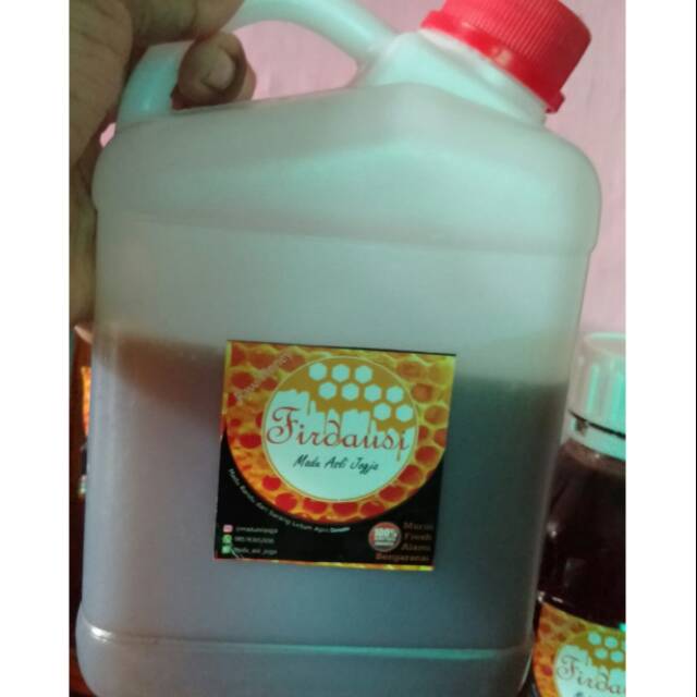 

Madu asli murni madu hutan bergaransi